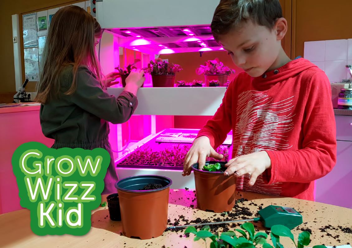 GrowWizzKid