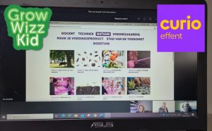 Curio effent aftrap implementatietraject