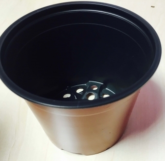 12 cm potten (set van 25)