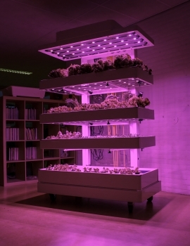 Bouwles: Bouwproces en voorbereiding