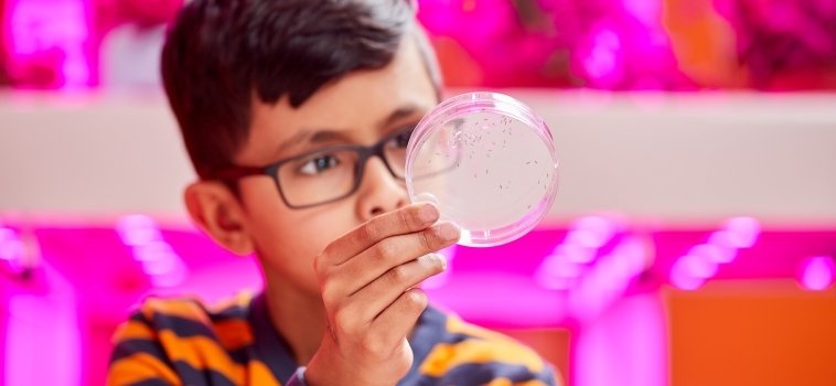 Met Citylab010 meer gezonde scholen in Rotterdam