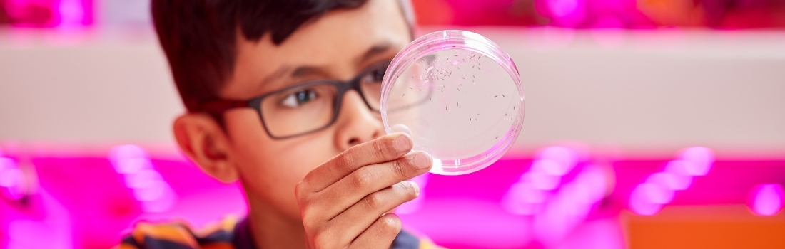 Met Citylab010 meer gezonde scholen in Rotterdam