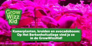 VSO Het Berkenhofcollege: 𝗞𝗮𝗺𝗲𝗿𝗽𝗹𝗮𝗻𝘁𝗲𝗻, 𝗸𝗿𝘂𝗶𝗱𝗲𝗻 𝗲𝗻 𝗮𝘃𝗼𝗰𝗮𝗱𝗼𝗯𝗼𝗼𝗺, 𝗮𝗹𝗹𝗲𝘀 𝗸𝗮𝗻!