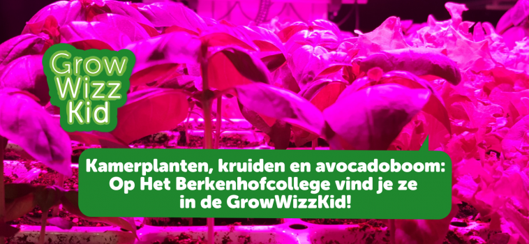 VSO Het Berkenhofcollege: 𝗞𝗮𝗺𝗲𝗿𝗽𝗹𝗮𝗻𝘁𝗲𝗻, 𝗸𝗿𝘂𝗶𝗱𝗲𝗻 𝗲𝗻 𝗮𝘃𝗼𝗰𝗮𝗱𝗼𝗯𝗼𝗼𝗺, 𝗮𝗹𝗹𝗲𝘀 𝗸𝗮𝗻!