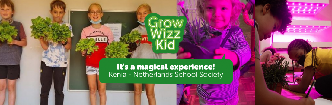 Netherlands School Society (Kenia): Experience a variety of skills