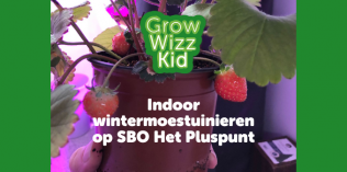 Indoor wintermoestuinieren op SBO Het Pluspunt