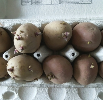 Maatwerk Moestuinieren-pakket