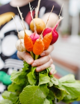 1. GrowWizzKid programma start